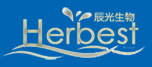 手游代理